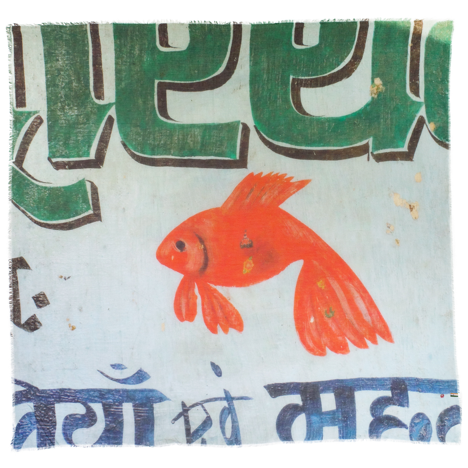 fish_IMG_0005LR 2