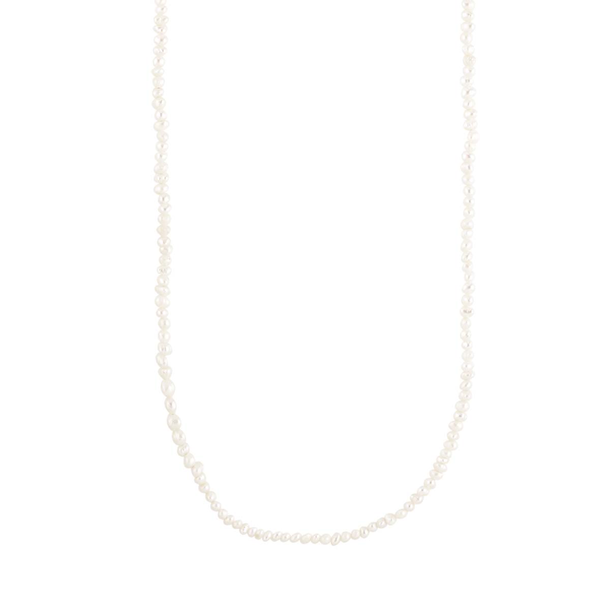 rpn01-aw2100-g_1200px