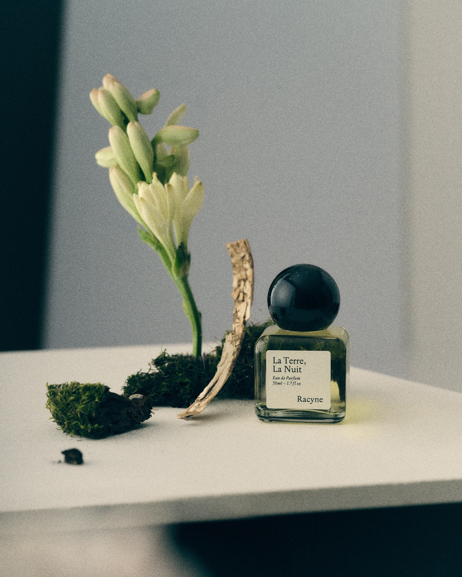 25-03-10_RACYNE_StillLife_LaTerreLaNuit