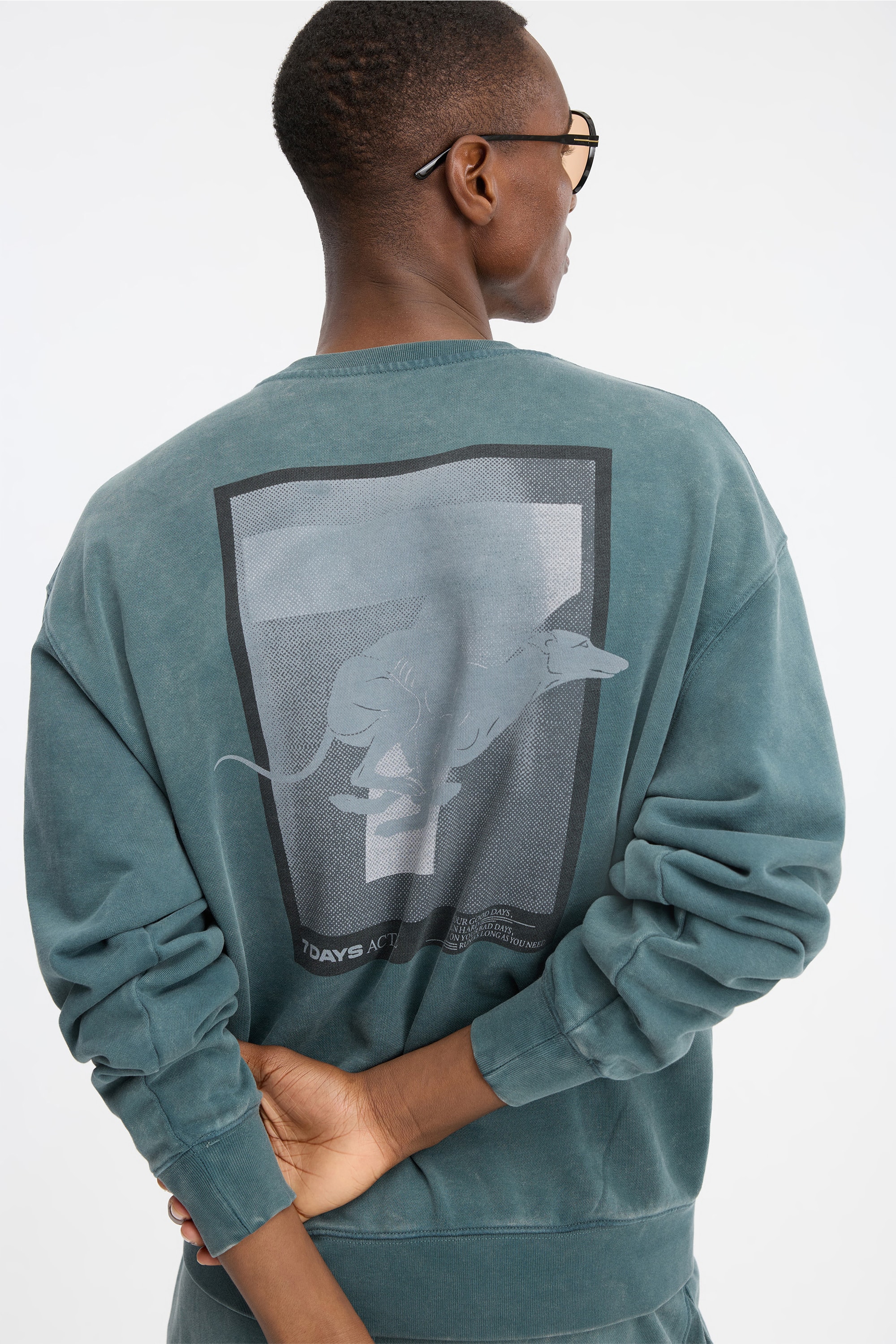 2621121 - Regular Crewneck - 065 Dusty Green - Extra 2 Regular Crewneck