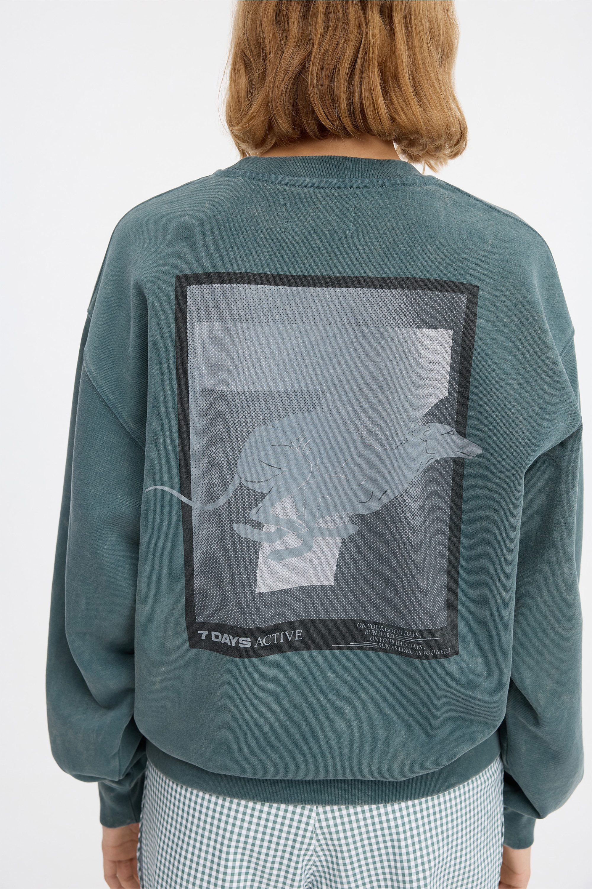 2621121 - Regular Crewneck - 065 Dusty Green - Extra 4