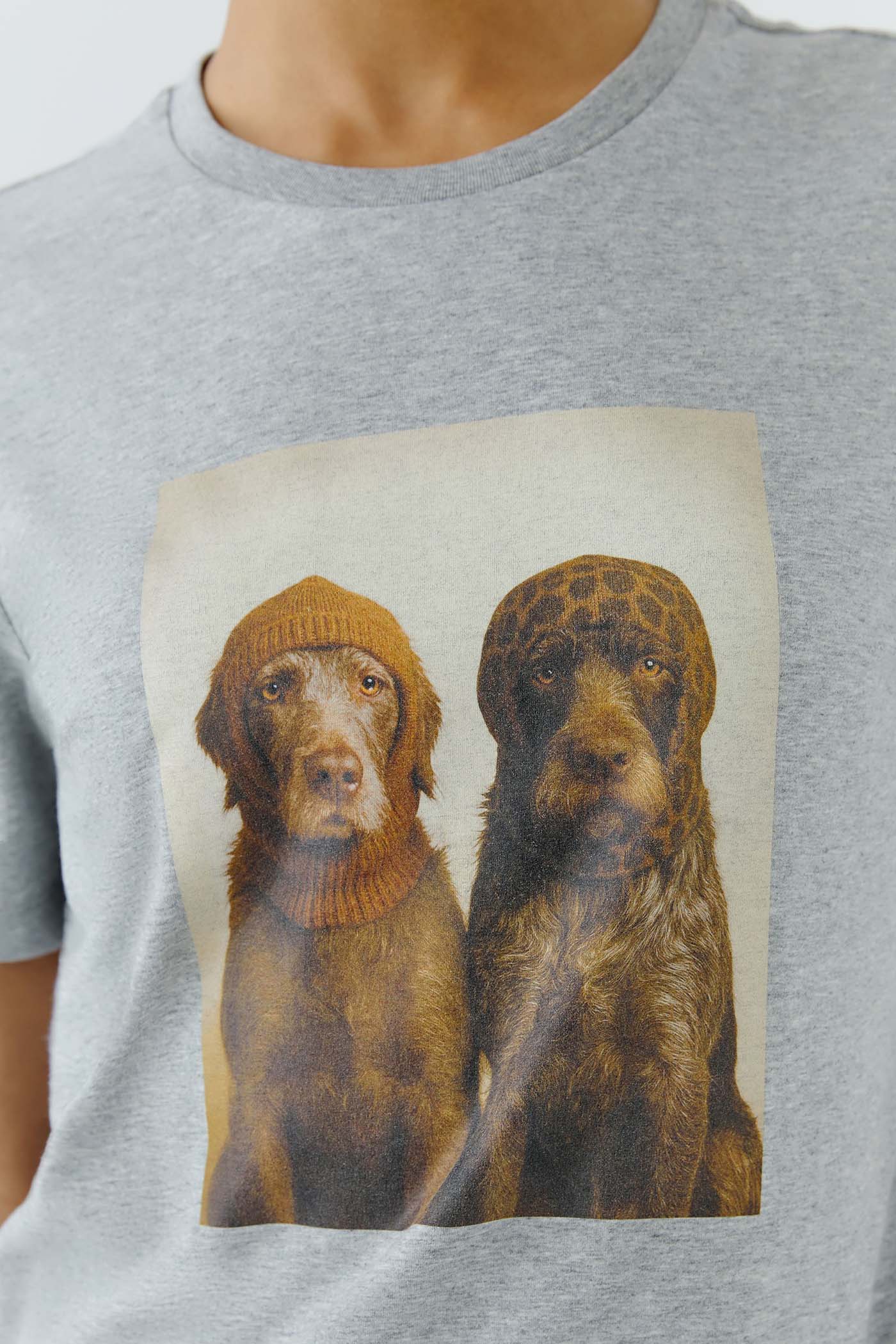Oui_T-shirt_dogs_5