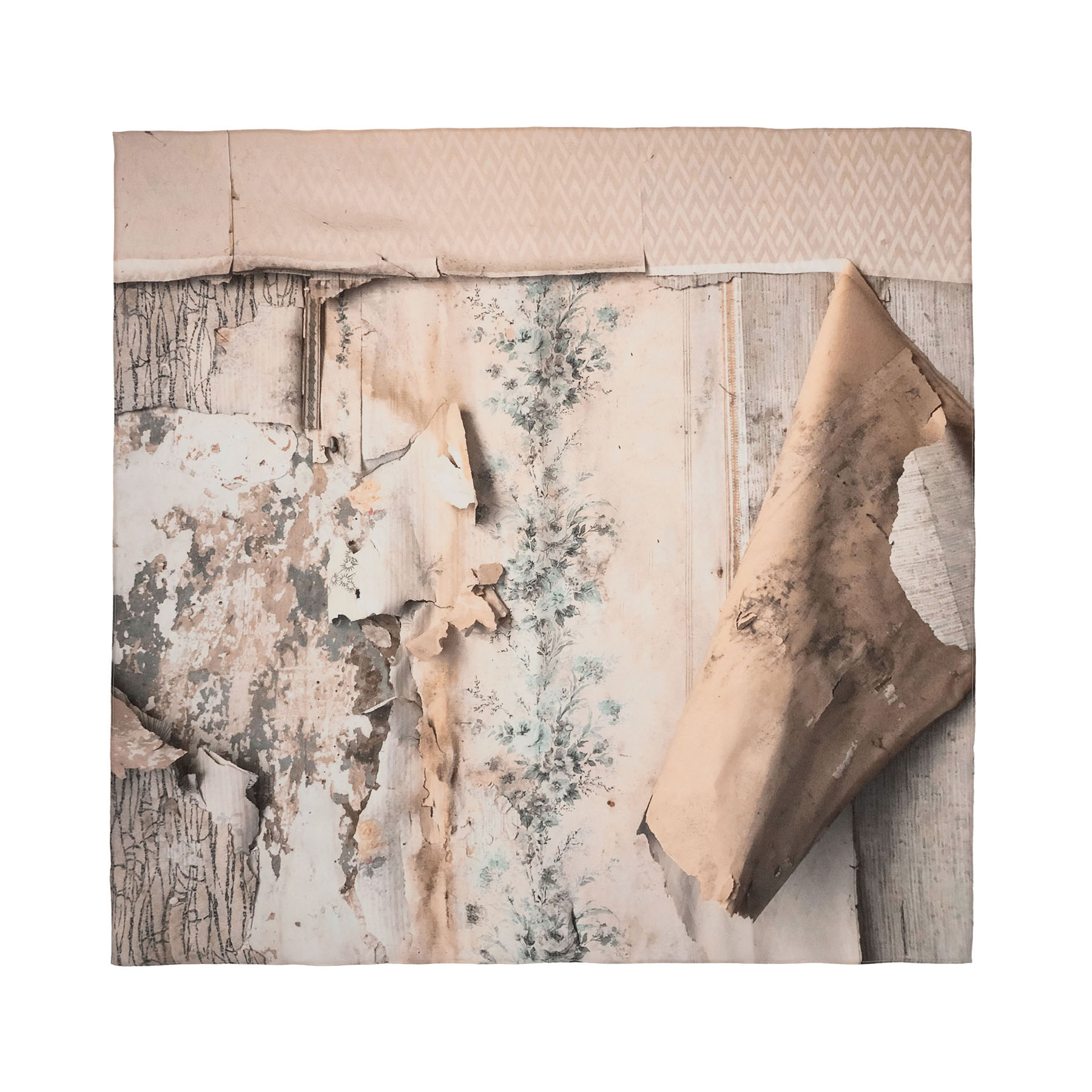 TalkingWalls_Babette_Decay